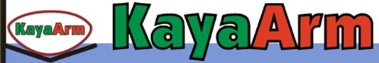KayaArm Kayak Dock Launch