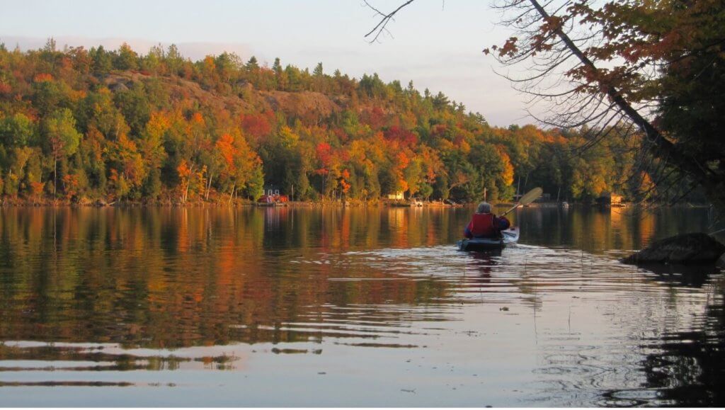 Beginners paddling a kayak on a river in autumn